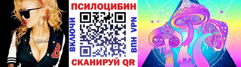 Псилоцибиновые грибы ЛСД  купить закладку  Почеп 